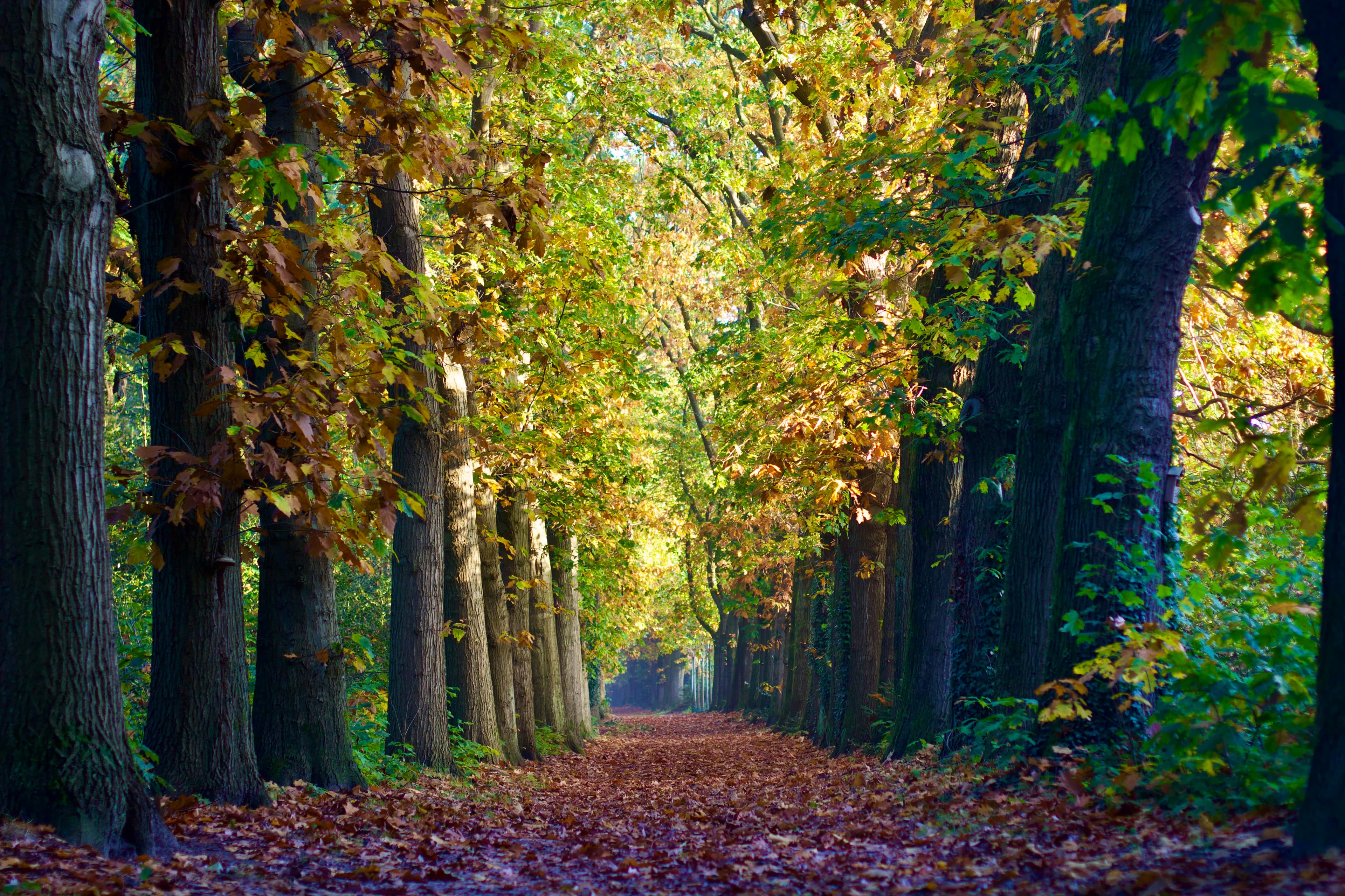 Bilthoven, Netherland