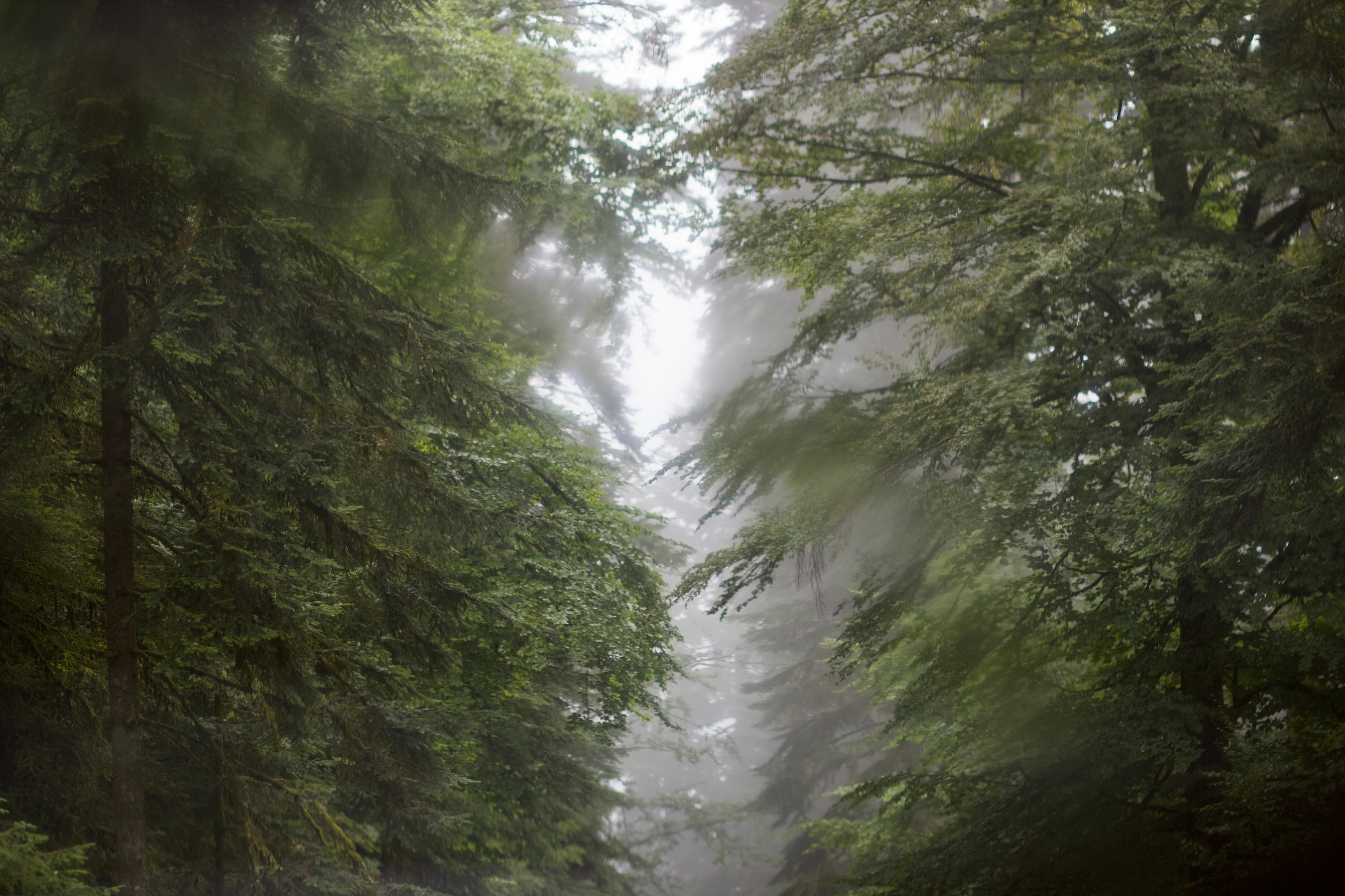 Vosges, France