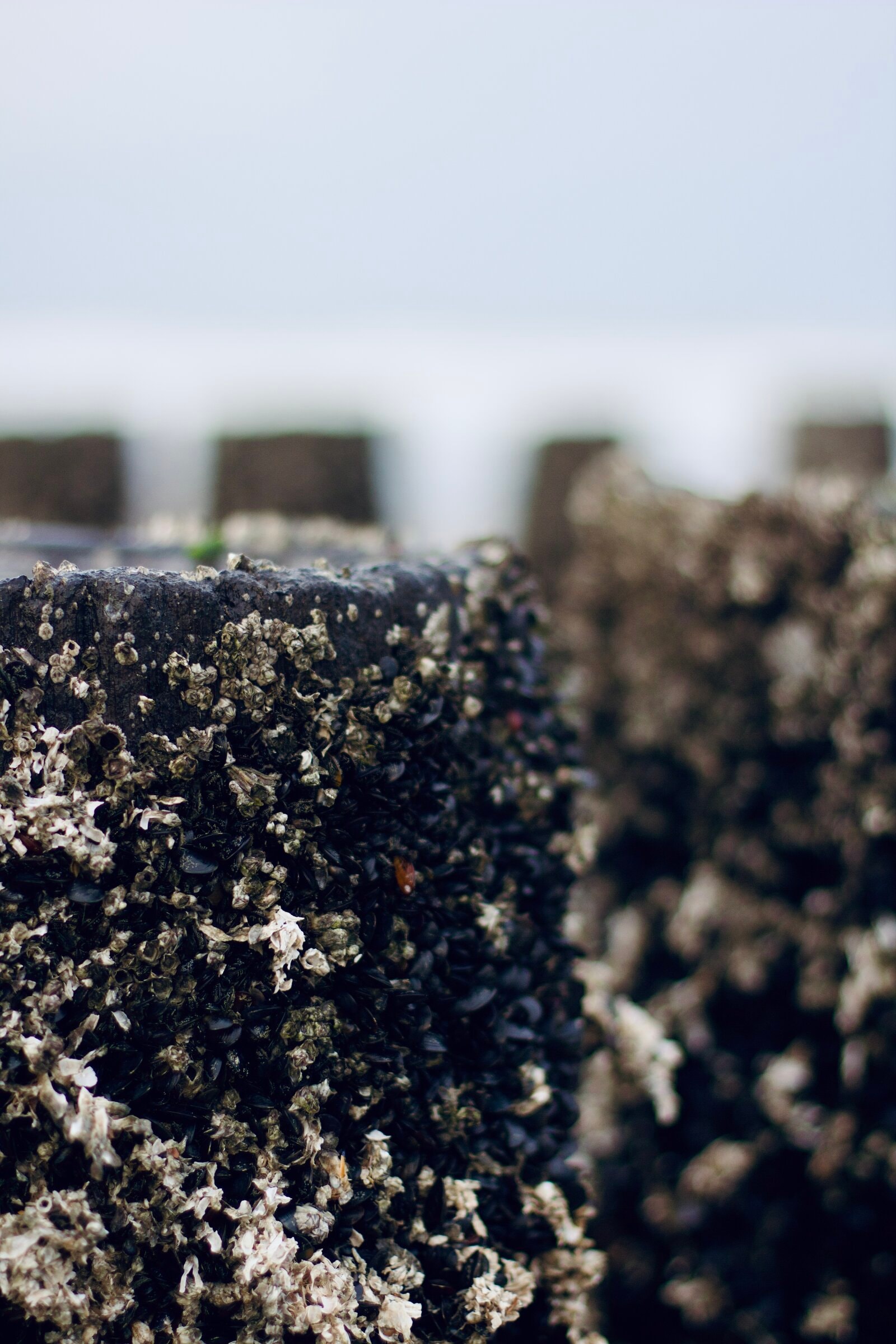 Domburg, Netherlands