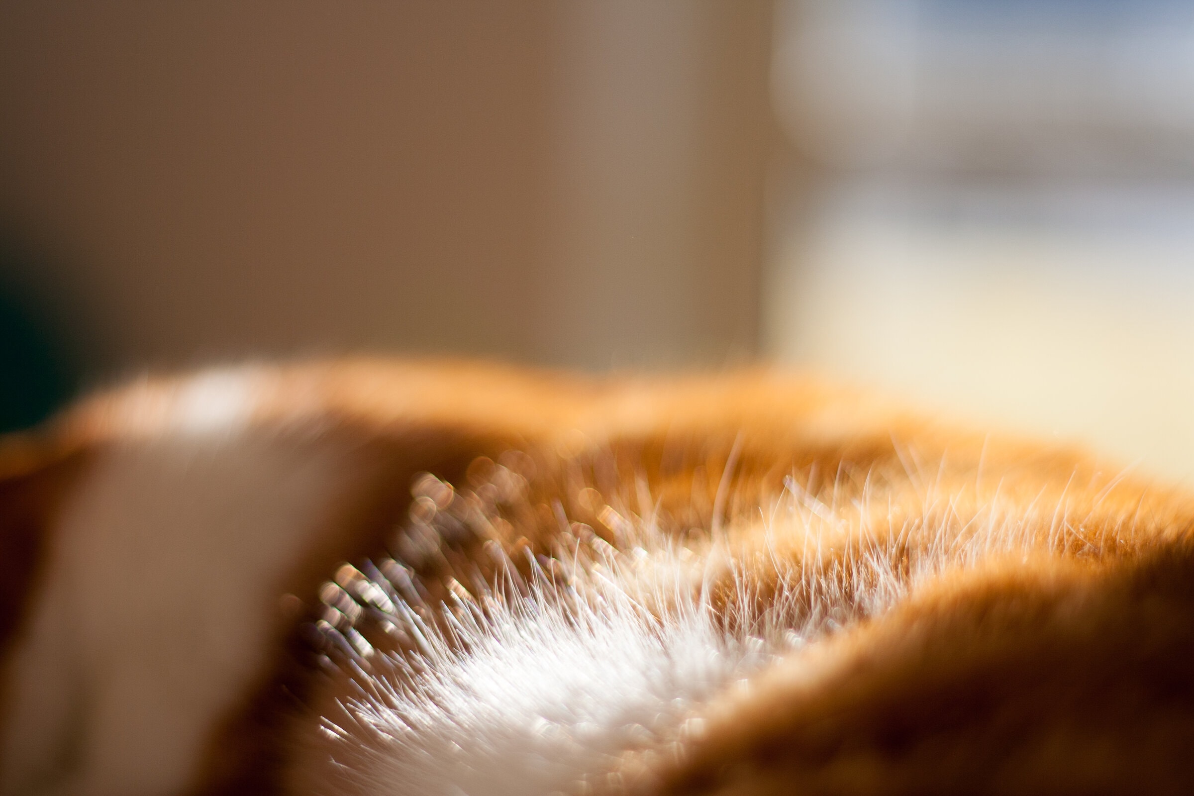 Unterhaching, Germany